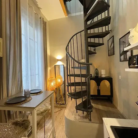 T1 Duplex Cosy - Notre-dame - Netflix